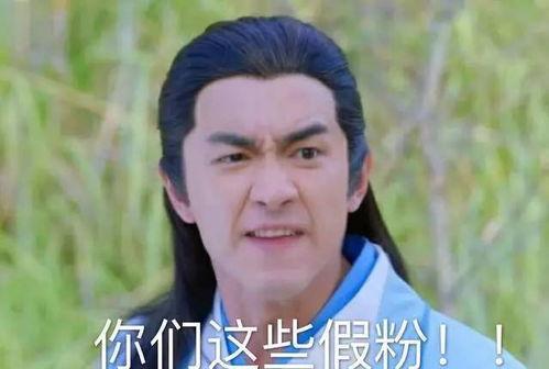 林更新 我恨 表情包,网络热传背后的情感共鸣