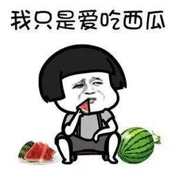 娱乐吃瓜有合集