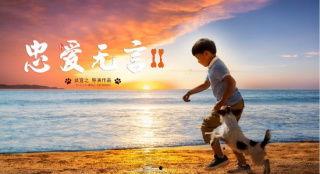 忠爱无言 背景音乐